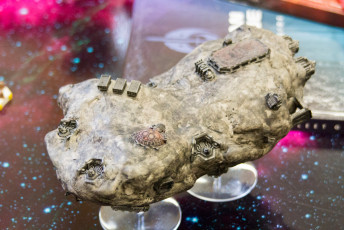 Coole Asteriedenbasis