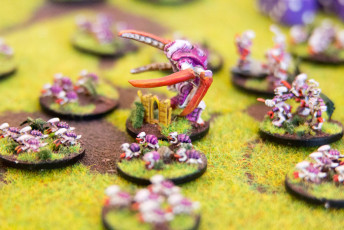 wpid3854-20150905095848_20150905095848-Spielzug-2015-7572_.jpg