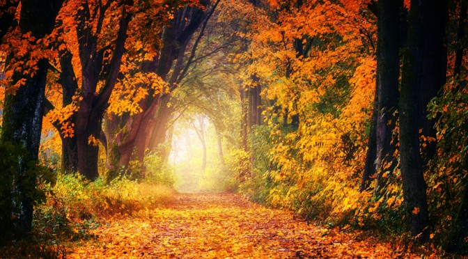 Herbstszene